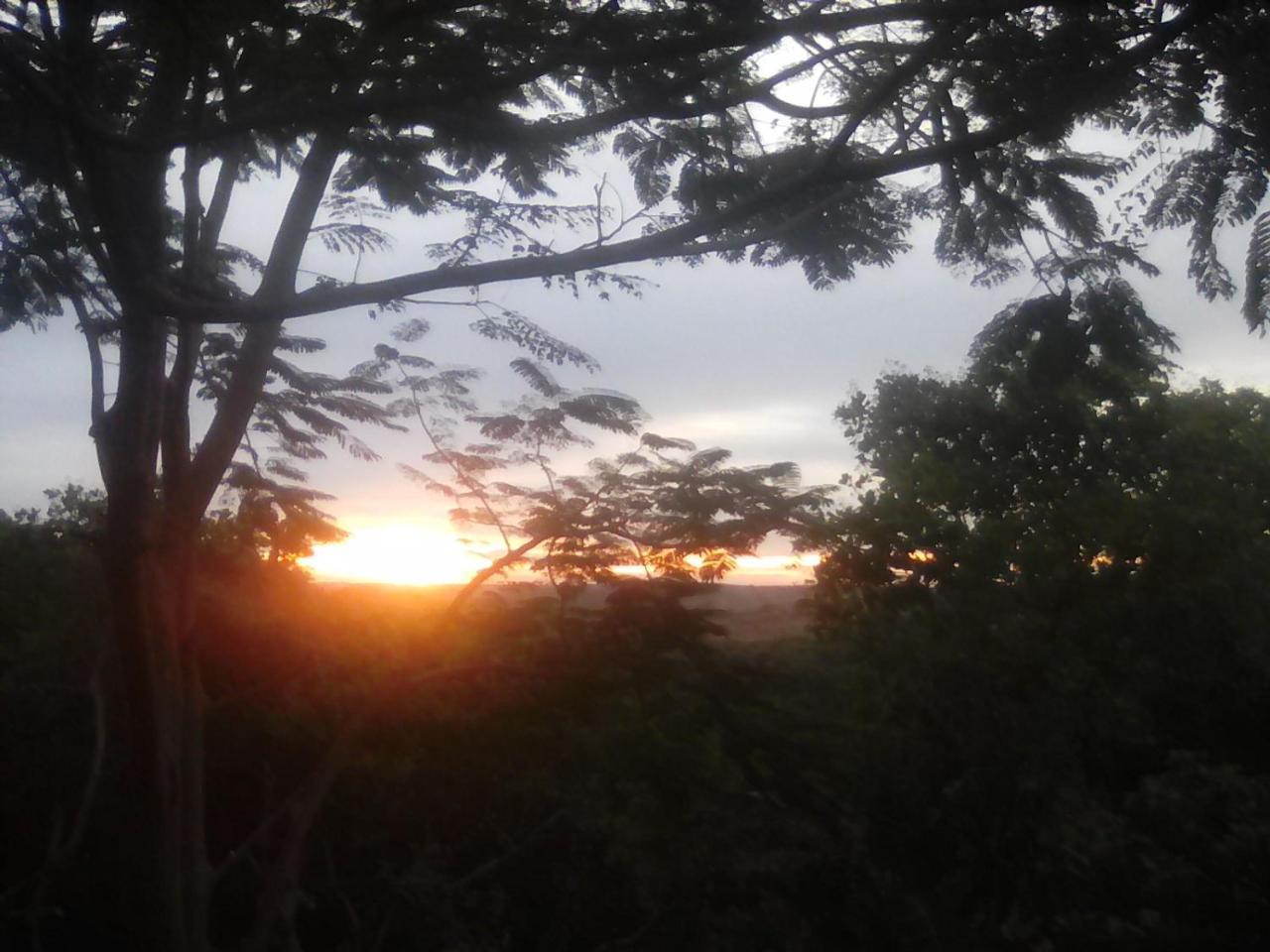 Nature House Eco-Lodge&jungle trek Banlung Exterior foto